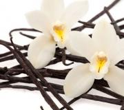 Opis mirisa parfema vanilije za žene: kako odabrati miris