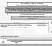 Applications for the issuance or replacement of a passport - sample filling Application for the issuance of a passport form 1