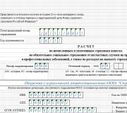 Účetní informace Nový formulář FSS na 9 měsíců